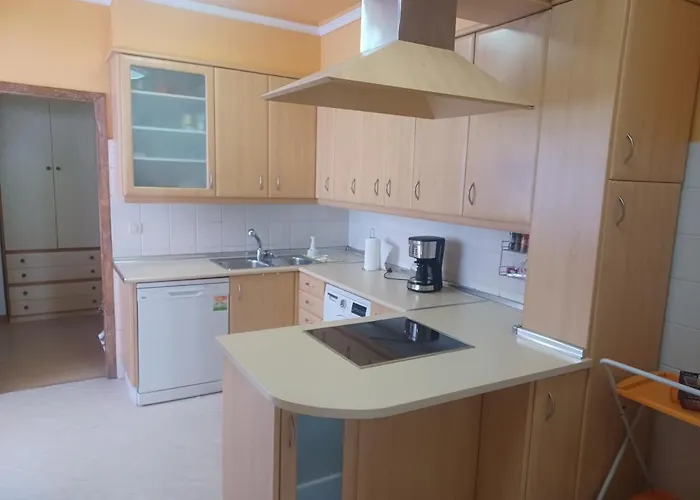 Apartament Camelias Centro *